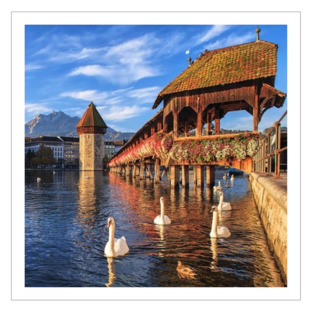 Wedding proposal in Lucerne