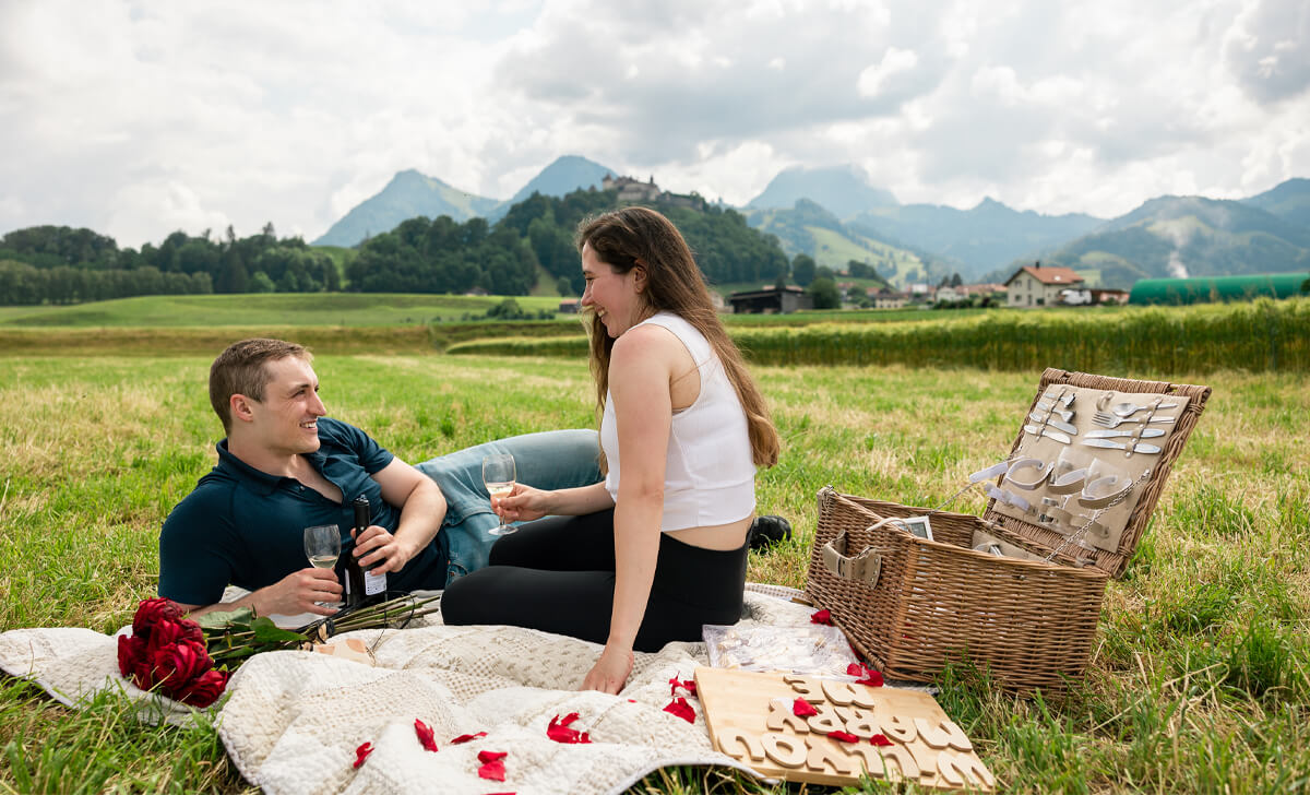 picnic-proposal
