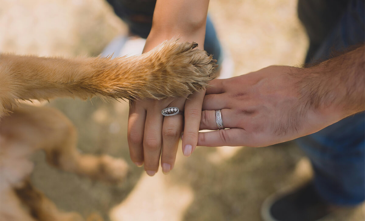 Adorable Dog Proposal Ideas